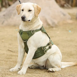 Harnais pour chien - Harnais tactique - LibertéMax ConfortCanin™ - couleur Vert Treillis