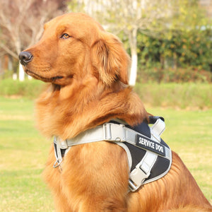 Harnais pour chien - Harnais Anti-Traction EnduranceMax ConfortCanin™ - couleur noir
