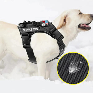 Harnais pour chien - Harnais anti-traction Masterwalk ConfortCanin™ - couleur noir