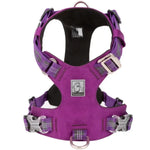 Charger l'image dans la galerie, Harnais pour chien - Harnais anti-traction TractoFit ConfortCanin™ - couleur violet

