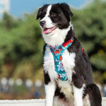 Charger l'image dans la galerie, Harnais Anti-Traction TrueLove ConfortCanin™
